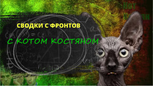 Сводки с фронтов с Котом Костяном от 24.11.23