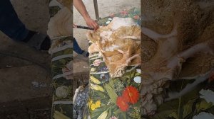 Как чистить требуху быстро и легко