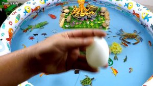Sea Animals And Cute Animals, Goldfish, Crocodile, Sea Turtle, Black Koi Fish,Octopus,Duck,Clownfis