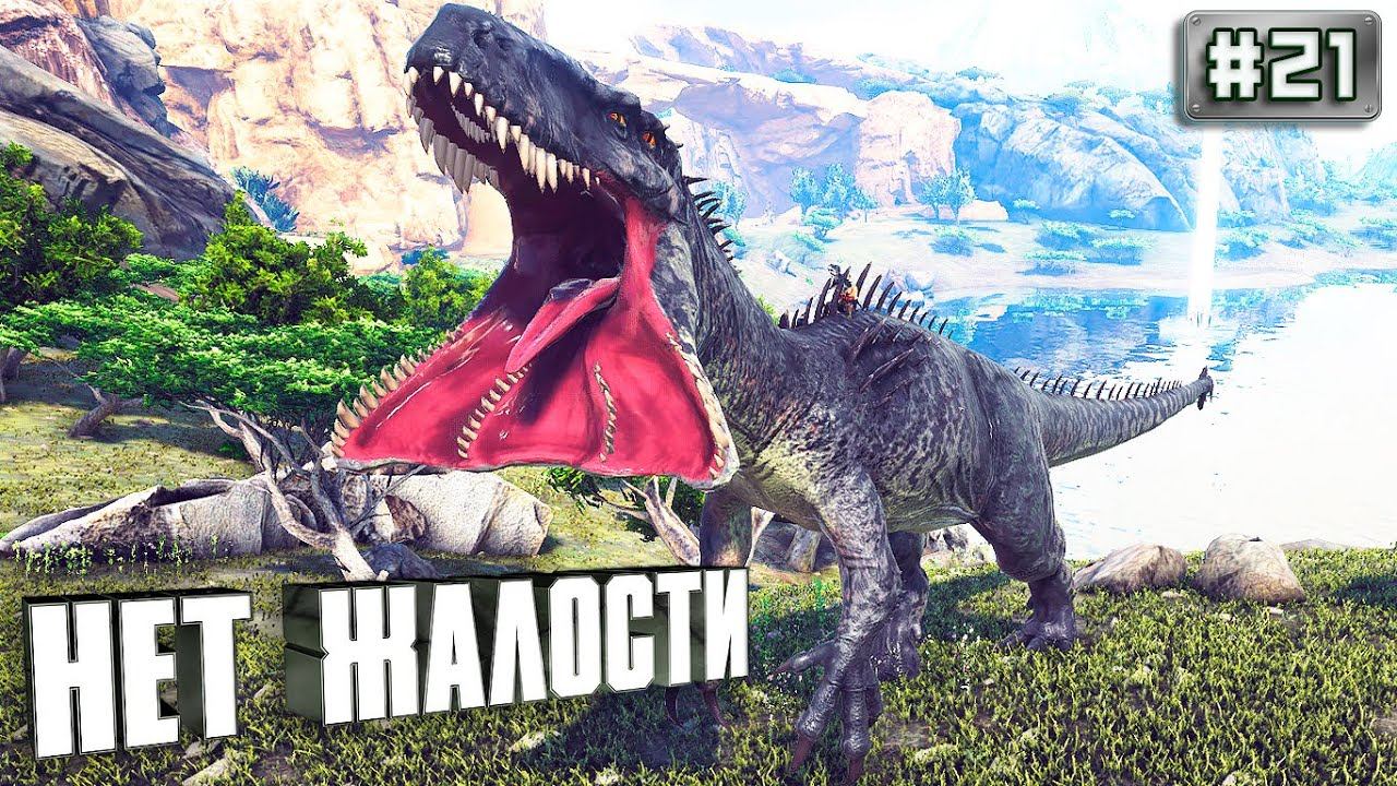 Карта olympus ark