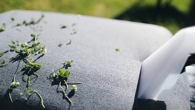 Химчистка мебели CASTO. Презентация смотреть онлайн