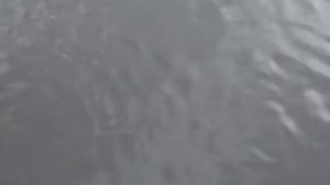 рыбалка в десногорске садки