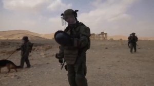 Что такое инженерные войска