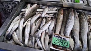 Феодосия. Июнь. Рынок. Рыбный ряд.