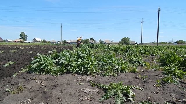 Пахота плугом дизельным мотоблоком Хопёр !!! смотреть онлайн