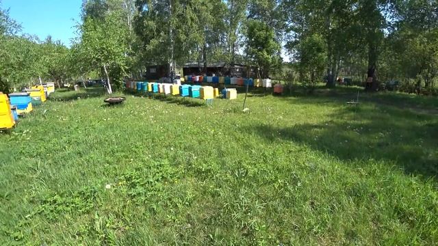 ЗАЛИВАЮТ даже ОТВОДКИ! ЖАРА в СИБИРИ! ДВУХМАТОЧНЫЕ, история продолжается смотреть онлайн