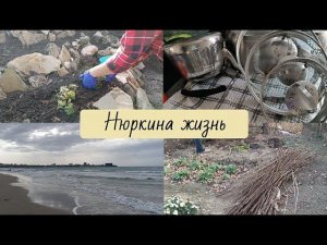 Нашли железо на участке // Посадили малину // Доделала горку // Домашние дела и отдых в Анапе