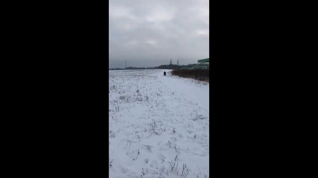 Мотособака Обкатка Кострома 9,12,2018 смотреть онлайн