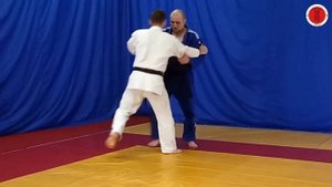 Передняя подножка (тай-отоши/tai-otoshi)