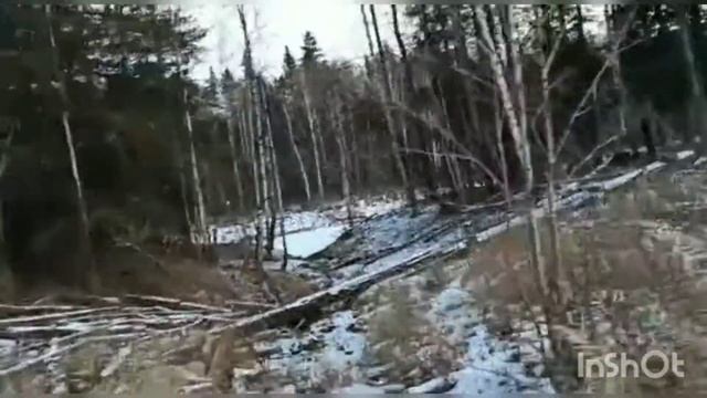 болотох тингер покатушки по реке и болоту смотреть онлайн