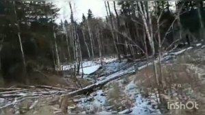 болотох тингер покатушки по реке и болоту