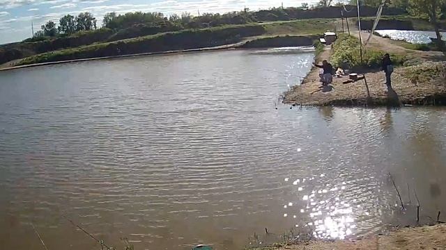 Платная рыбалка, ещё один рыбак ? в чёрный список! смотреть онлайн