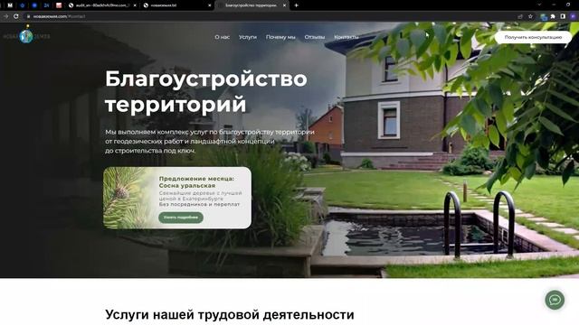 SEO-аудит - новаяземля.com