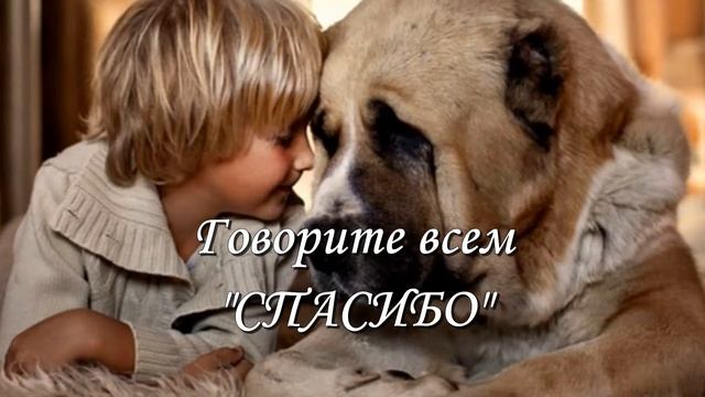 С МЕЖДУНАРОДНЫМ ДНЕМ СПАСИБО! СПАСИБО ЗА ВСЕ!!! ОЧЕНЬ КРАСИВОЕ ПОЗДРАВЛЕНИЕ