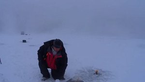 Вечерняя рыбалка на налима на Енисее