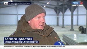 Осетр и форель: рыбная ферма открывается в Чите