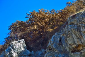 496 Зимней  ночью...  ст.  Владимир  Полуничев