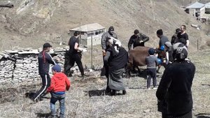 день борозды гуладты