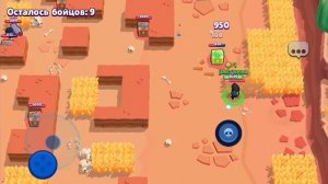 СКОЛЬКО КУБКОВ СМОГУ АПНУТЬ ЗА 15 МИНУТ НА ЛЕГЕ В Brawl Stars