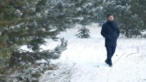 Снегом белым Все замело