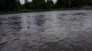 Сплав по реке Партизанская (Приморский край)