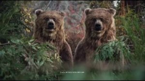 Баребушки #7 /подборка смешных видео/приколы/видосы/