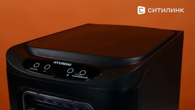 Обзор Сушилки для овощей и фруктов Hyundai HYFD-P1203 | Ситилинк смотреть онлайн