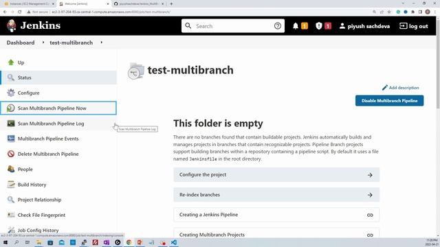 #7 Jenkins MultiBranch Pipeline? In 7 Minutes