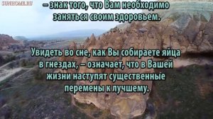 К чему снится Яйцо сонник, толкование сна