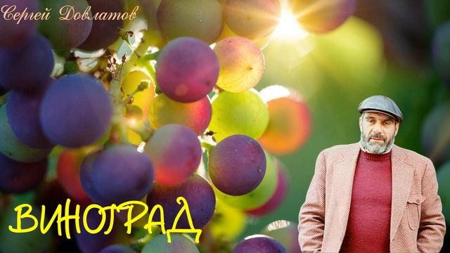 28 С.Довлатов, Холодильник, Виноград готовый).mp4