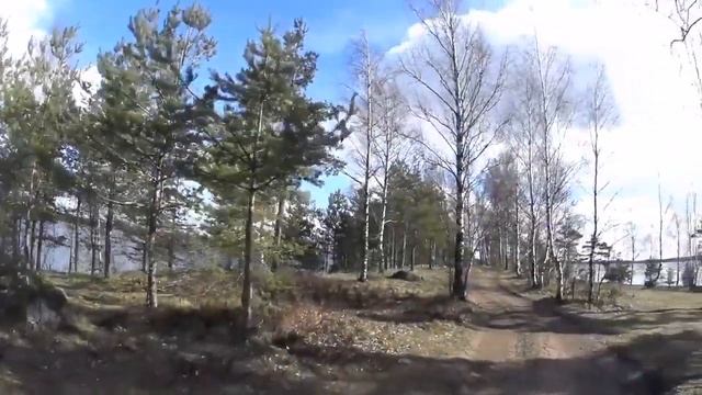 Мыс Каравай Ленинградская область, берег Финского залива смотреть онлайн