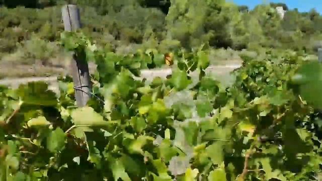 Жизнь во ФРАНЦИИ: СТРЕСС | Первый день во Французском КОЛЛЕДЖЕ | В РОССИИ всё не ТАК смотреть онлайн