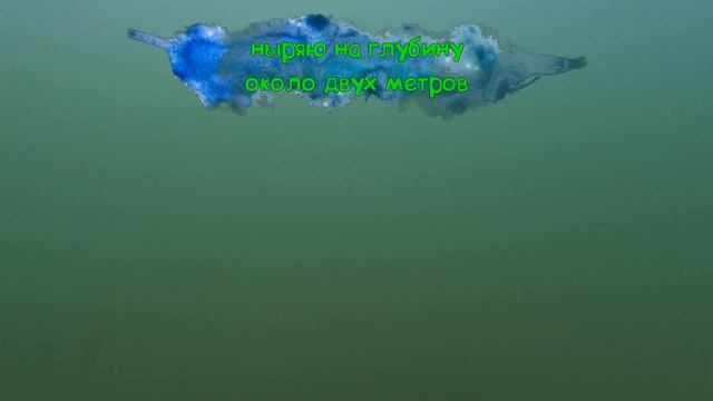 тест маски для снорклинга в пресной воде/ плюсы и недостатки смотреть онлайн