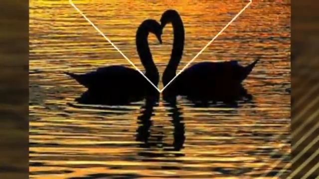 Моему мужу,Амелину Александру. смотреть онлайн