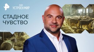 Стадное чувство — Как устроен мир с Тимофеем Баженовым (23.05.2023)