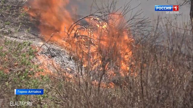 Два лесных пожара произошли в регионе за последние сутки смотреть онлайн