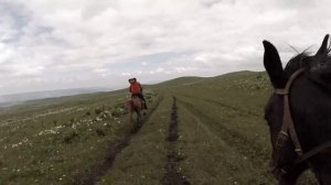 Самый быстрый галоп.
