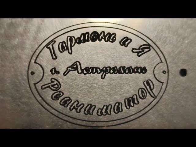 Прямая трансляция Гармонь и я. Реаниматор)))