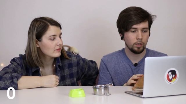 Сколько стоит содержание крысы смотреть онлайн