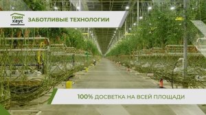 «Гринхаус»: работайте вместе с нами