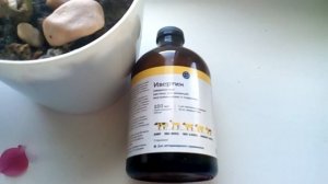 Ивермектин-чесотка не возвращается.Результат на 4 июня 2020