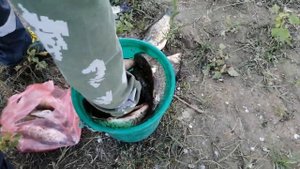 Рыбалка р.Шмагино сентября 2021года