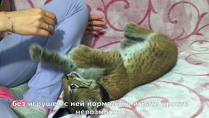 КОТЁНКУ РЫСИ ТРИ МЕСЯЦА!