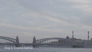 Canon EOS R7 первые впечатления с примерами видео