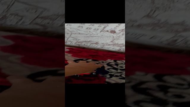 битва автомобилей смотреть онлайн