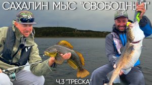 САХАЛИН! ТРЕСКА!