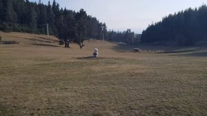 Арбалет Barnett Quad 400 -20 метра