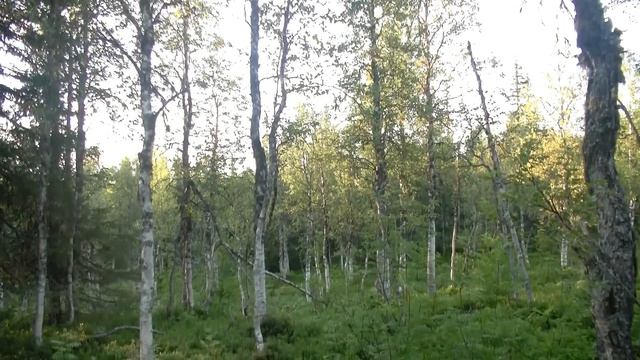 Одиночный поход на Главный Уральский Хребет / 2 часть #397 смотреть онлайн