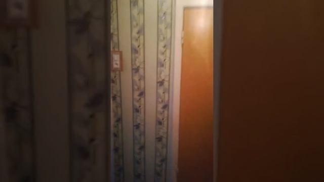 Продажа 1 к.кв г. Чехове, ул. Дружбы д.20 смотреть онлайн