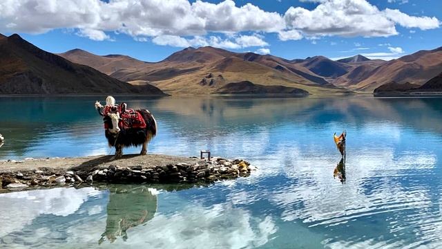 Гонг медитация для сна слушать онлайн. Духовная музыка тибетские монахи поют ОМ смотреть онлайн